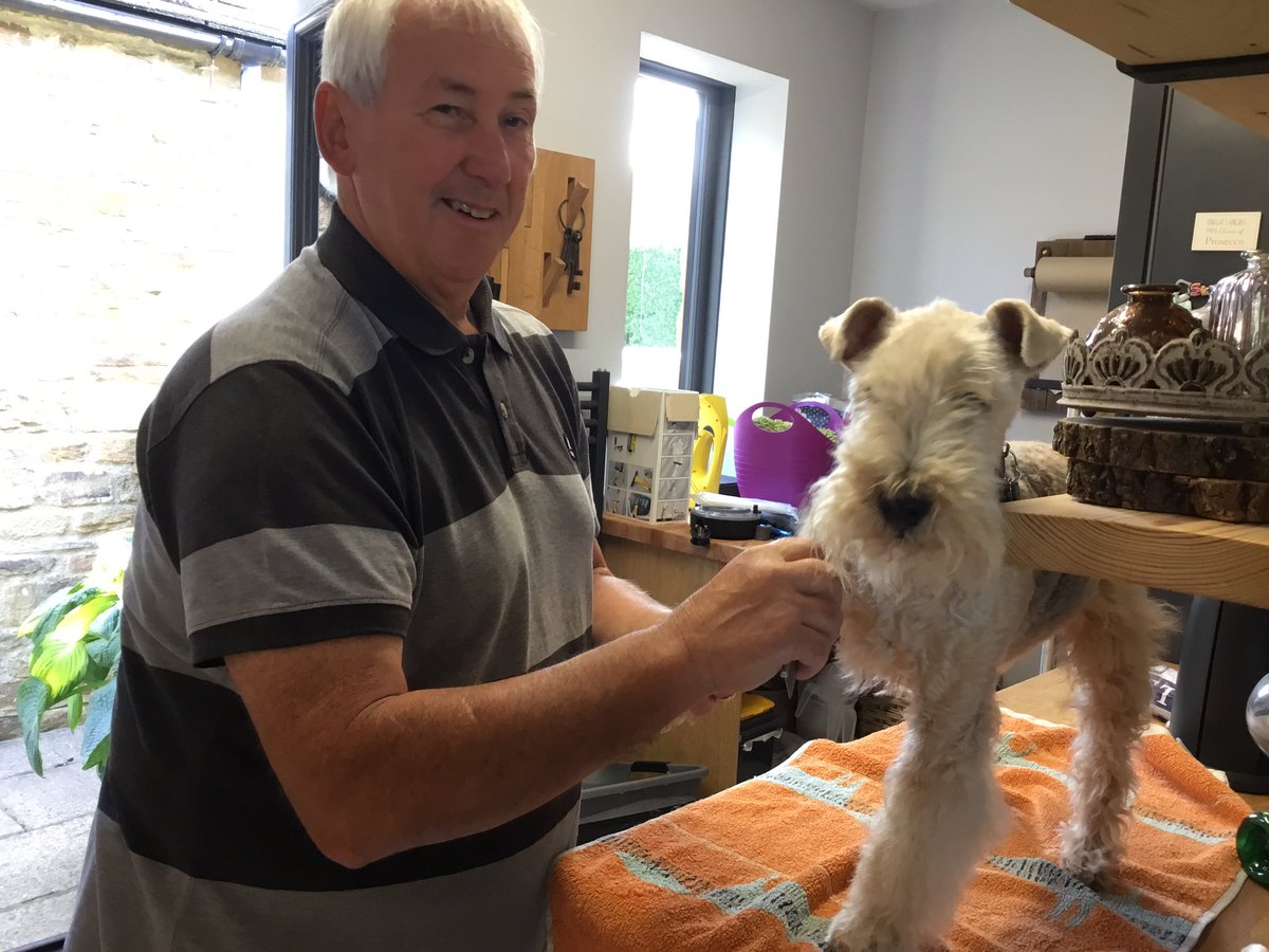 StanleyLakeland's tweet photo. Gerr off me, Dad, honestly me #DogSon @AdsDogCharlie will not care if I’ve got fluffy trousers 😬 https://t.co/jpDyzZQsFj