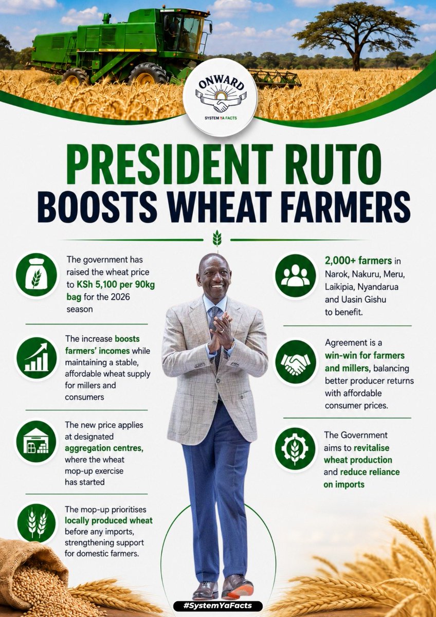 NaiBlogger's tweet photo. Local wheat is being prioritised during the mop-up exercise before imports are considered. This gives Kenyan farmers a better opportunity to sell their harvest and contribute to reducing dependence on foreign wheat. #WheatFarmingReforms Pesa Mfukoni, White Gold https://t.co/d13sLMdXjc