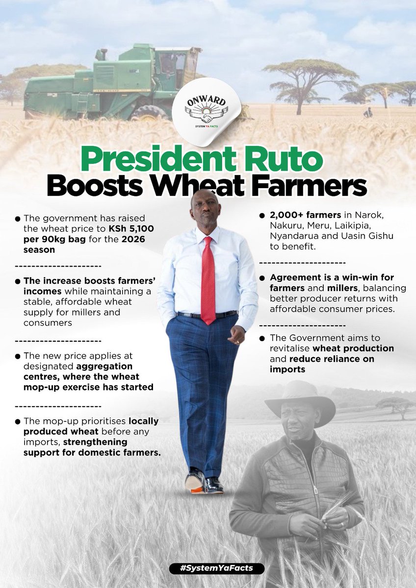 Jolenee7_'s tweet photo. Aggregation centres buy White Gold first from local farmers. Pesa Mfukoni arrives before any foreign grain is considered. #WheatFarmingReforms balances producer incomes with stable national supply. https://t.co/ft7s4Yp6dL