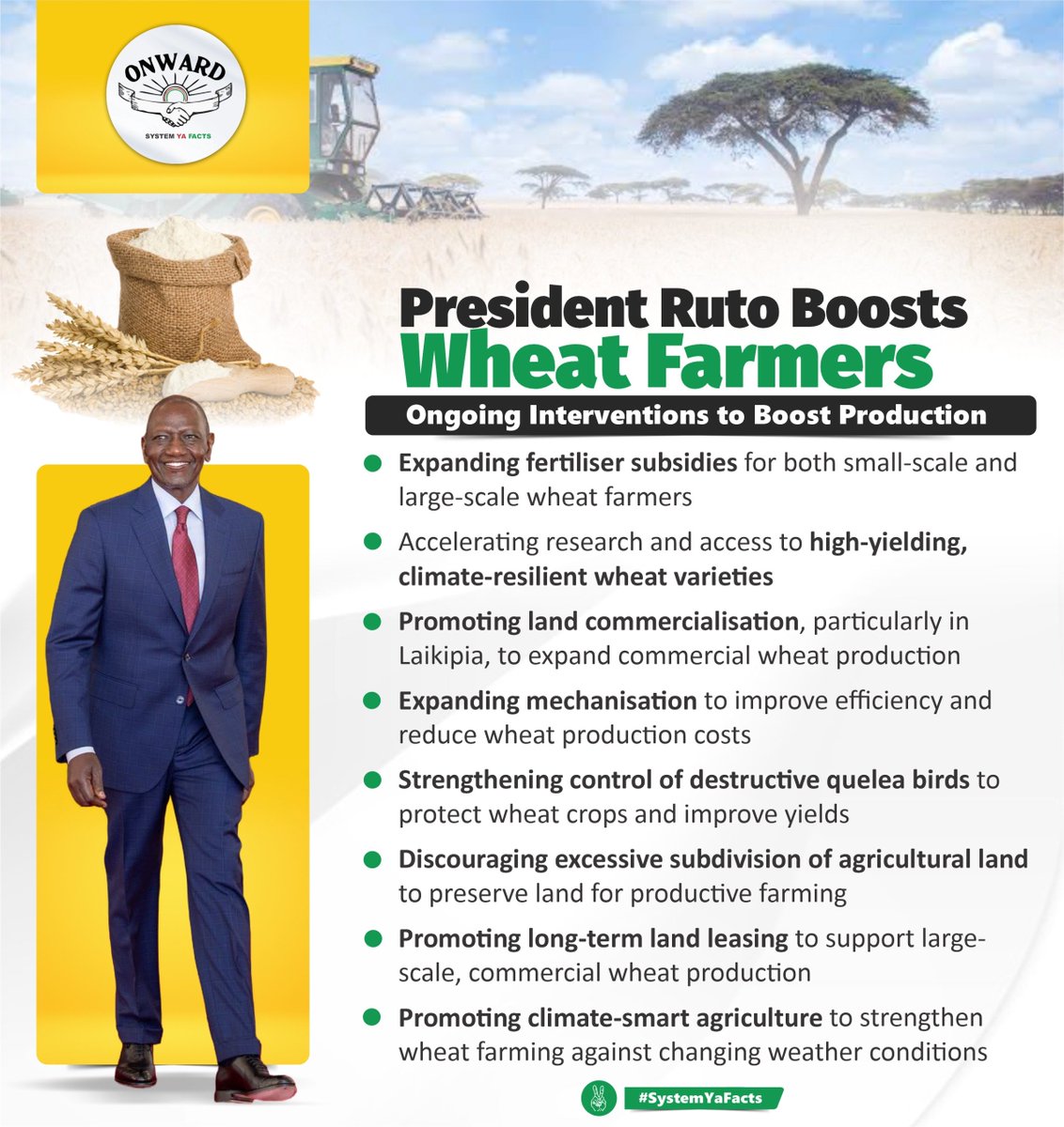 njoguembu's tweet photo. More than 2,000 wheat farmers can benefit from the improved KSh 5,100 price, strengthening farm incomes and encouraging consistent local supply across Kenya. White Gold #WheatFarmingReforms Pesa Mfukoni https://t.co/vPIxAbcMs8
