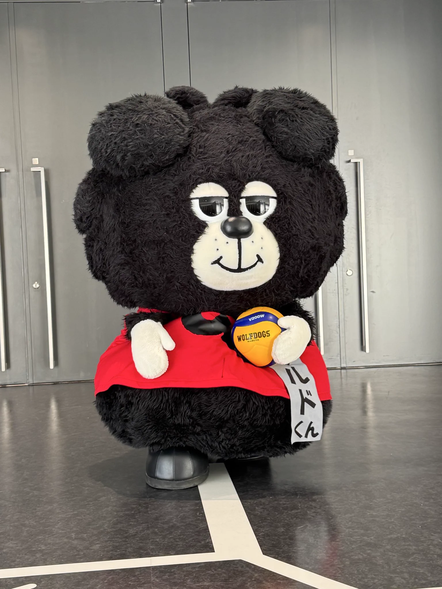ウルフドッグス名古屋 2024-2025シーズン　ウルドくん 巾着 ウルドくん on X: 