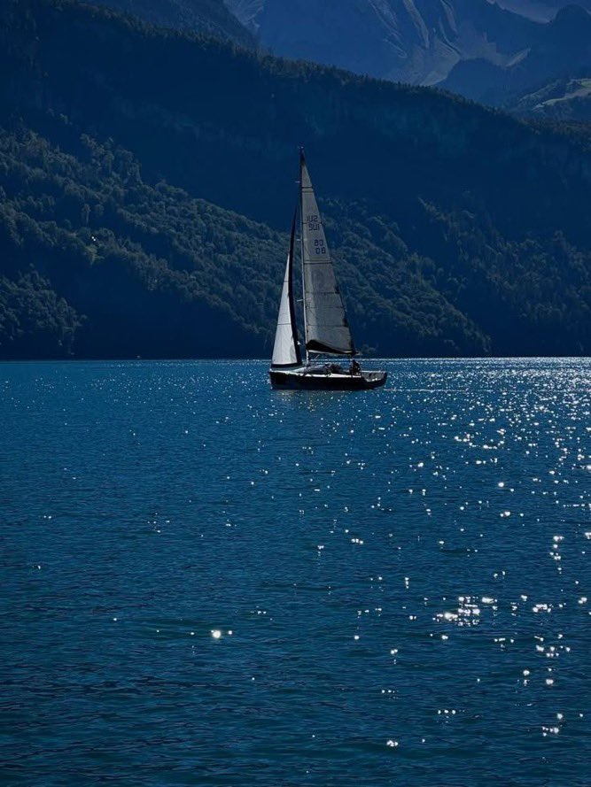 _daisybella's tweet photo. endless blue https://t.co/57yA2QCTge