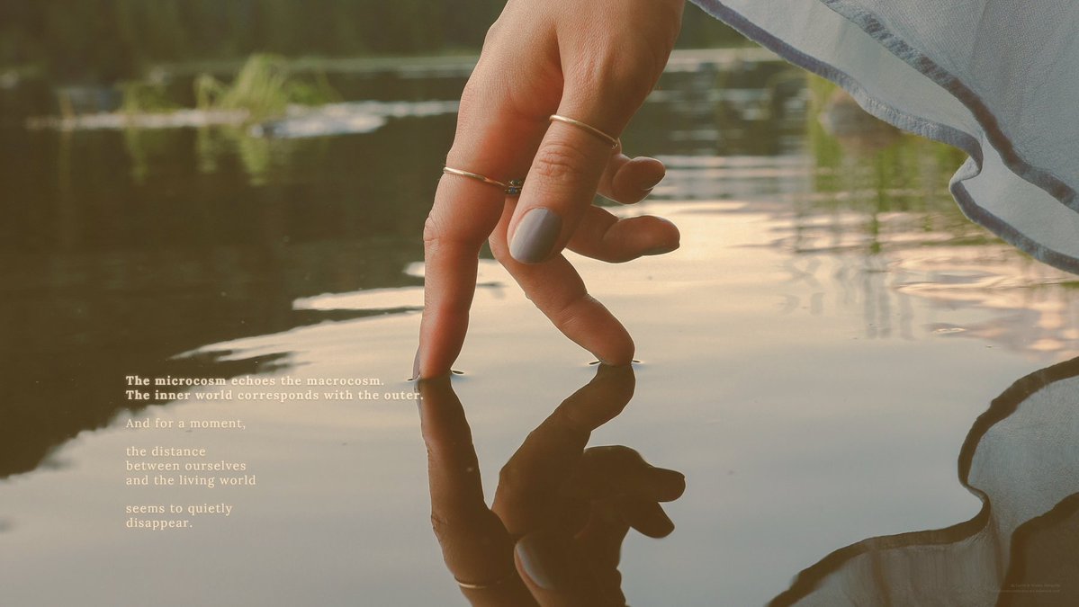 OfEarthandWater's tweet photo. In the softness of a hand meeting water,
the distance between us and the world
grows quiet —

and for a moment,
the boundary seems to soften.

The inner world and the outer world gently touch —

and something within us remembers:
we were never separate at all 🌿

#Interconnected https://t.co/L2PKPdW7ii