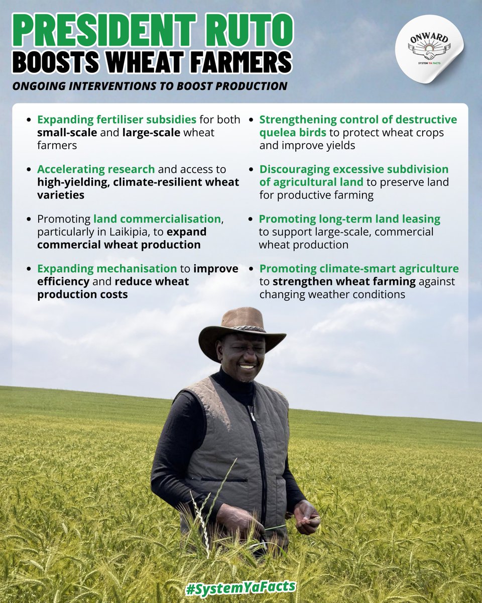 Kamoste_M's tweet photo. President Ruto has rolled out a comprehensive plan to boost wheat production, including expanded fertiliser subsidies for both small and large-scale farmers nationwide.#WheatFarmingReforms
Pesa Mfukoni
White Gold https://t.co/OkqtLyrFL3