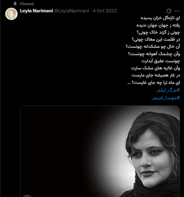 NotLordPatriot's tweet photo. @LeylaNarimani خانمی که در توییتِ پین‌شده‌ی شما کشته شد، توسط شخصی رقم خورد که دارید در توییت کنونی اکلیلی‌اش می‌کنید. https://t.co/aWgC2qqRmX