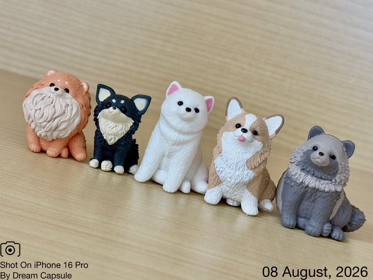 dreamcapsuleCEO's tweet photo. 🌟新入荷ガチャ商品プレゼントCP🌟

寄り添う姿が愛おしい🥰待望の第4弾が登場🐶
「おすわり〜ぬ4」

フォロー&amp;RP(RT)していただいた方の中から抽選で2名様に全5種セットをプレゼント🎁
ドリカプへの入荷日とキャンペーン詳細は↓

#ドリームカプセル #ガチャ専門店 https://t.co/WGMzHkj9f0