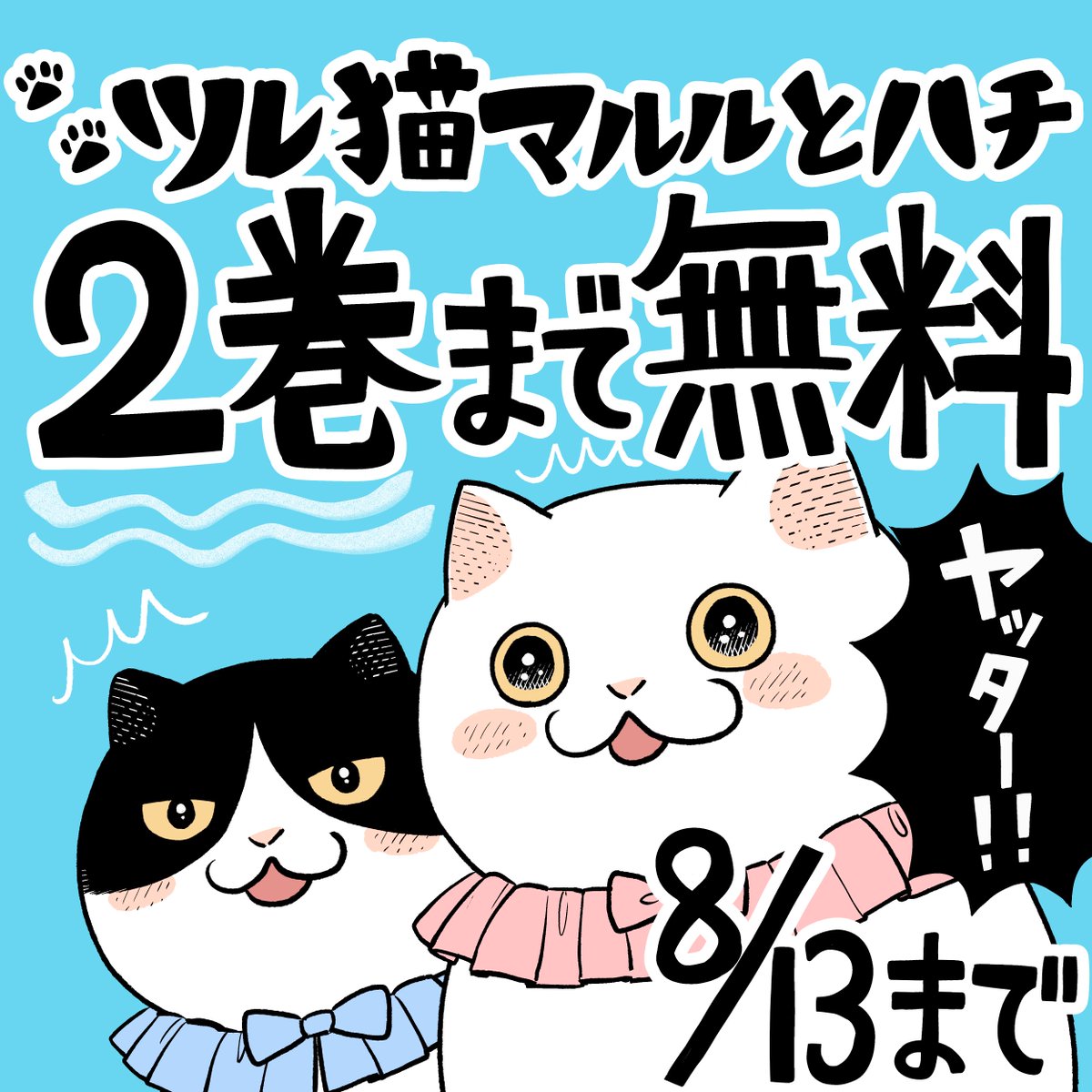 sonoda_yuri's tweet photo. 連載再開キャンペーンとして　現在『ツレ猫マルルとハチ』が2巻まで無料で読めます！
読み返したい方、これを機に読み始めたい方、ぜひどうぞ😺

ツレ猫 マルルとハチ - 園田ゆり / 第１話　マルルとハチ | コミックDAYS #コミックDAYSで読む↓
[ https://t.co/moo4q6gaU3 ] https://t.co/7lwFVZYYwj