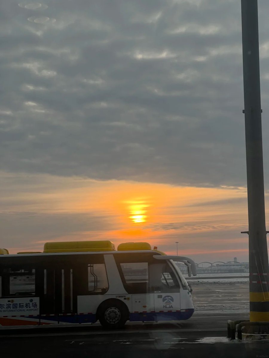 Atisha284's tweet photo. Finding peace in the quietest moments—chasing sunsets, soft skies, and gentle little souls. Life is simpler when you learn to appreciate the calm. 🌅🐾✨
#InnerPeace #GoldenHour #QuietMoments #Aesthetic #SunsetChaser #Mindfulness #SimpleJoys https://t.co/xYXyYvQlYS