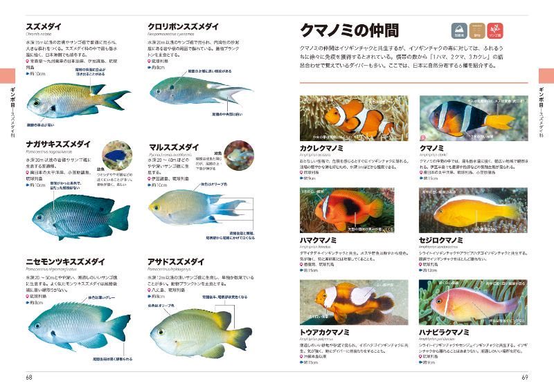 MD_marinediving's tweet photo. 『くらべてわかる海水魚』好評発売中！
水中カメラマン・堀口和重さん撮影の約550種を網羅❗️
ダイバー必見ですよ。👇
https://t.co/42S884q6MW

ログづけのときに、魚の名前を書こうと思ったけど、よくわからない……」
「スズメダイやチョウチョウウオなどの種の見分け方を知りたい」
ダイバーが会える種を中心に紹介していますよ‼️
詳しくはこちらをご覧下さい👇
https://t.co/42S884q6MW

マリンダイビングWEB無料メルマガ登録👇
https://t.co/rjA5wutKnE

#ダイビング
#魚
#ダイバー
#海