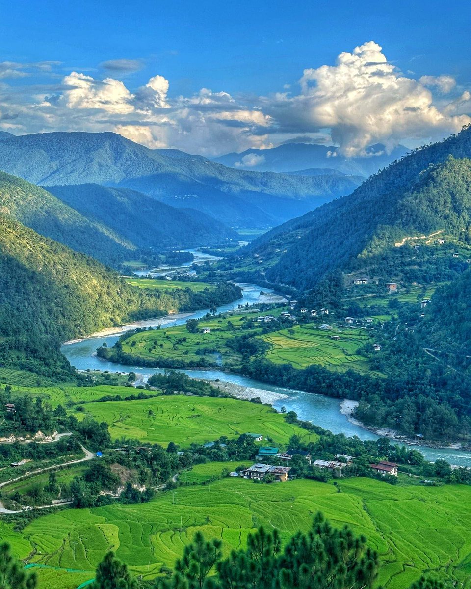 drukyuldelights's tweet photo. One of those rare moments that rearranges something inside you.

Standing on the ridge after the quiet climb through pine the view unfolds like a living scroll. 

#PunakhaValley #Bhutan #MindfulTravel #SlowTravel #RiceTerraces  #WanderWithIntention #PresenceOverPace #BhutanTravel https://t.co/B6pjj4N7F2
