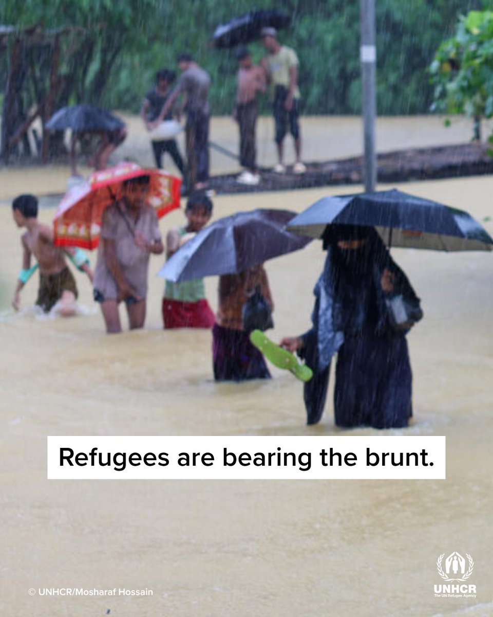 Refugees's tweet photo. Bangladesh needs your help.

While monsoon rains and flooding have begun to subside, attention is now turning towards repairing damaged shelters, restoring vital infrastructure, and recovering from the storms' impact.

For the 1.2 million Rohingya refugees there, your donation can be a lifeline: https://t.co/v3zm36vBhY