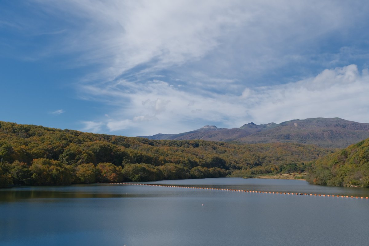 kwatanabex's tweet photo. まぶね湖。
ここはダム湖で名前は堀川ダム。
ダムの上を散策してみると、那須岳をバックにまわりの紅葉の見ごたえあり。
眼前にある紅葉大橋は、名前から想像するとなんかイマイチかも
時々バッタがさまよっていたり、 人が少なかったり、空気が澄んでいたりでなんだかんだ癒され空間かも
#ツーリング https://t.co/R3cvHpKDee