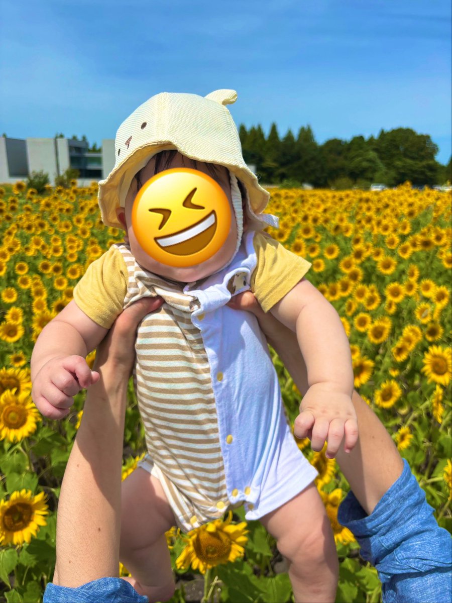 mncnrrr's tweet photo. 🌻 https://t.co/HlDfaGRdZW