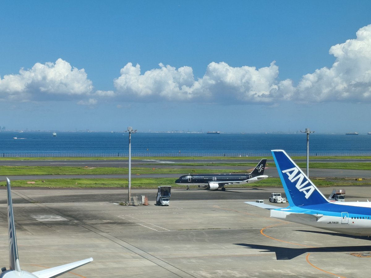 Lsi4Uv's tweet photo. 羽田空港行ってきた！滞在時間10分弱。次回もっと時間ある時行きたい。そして3苗回収できた。 https://t.co/LLZoAHvq5o