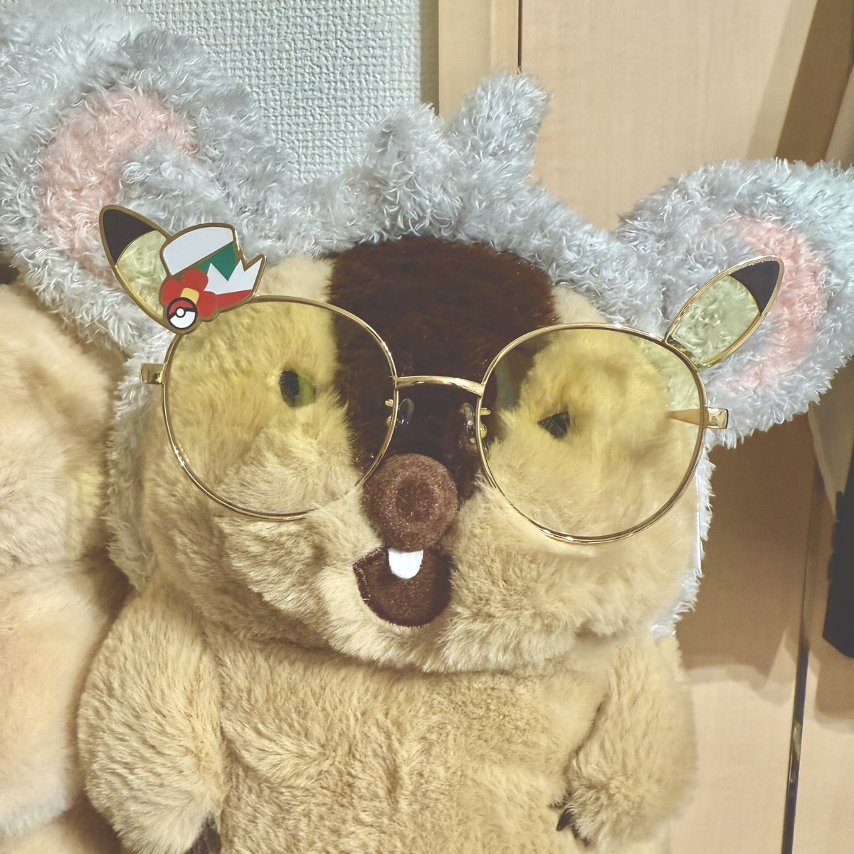 kanataman__'s tweet photo. ぽけぱーく余韻がひどいやまもとさん

 #マーモットのもっとっと
 #マーモットのもっとっと広場 https://t.co/9svpK6PdTW