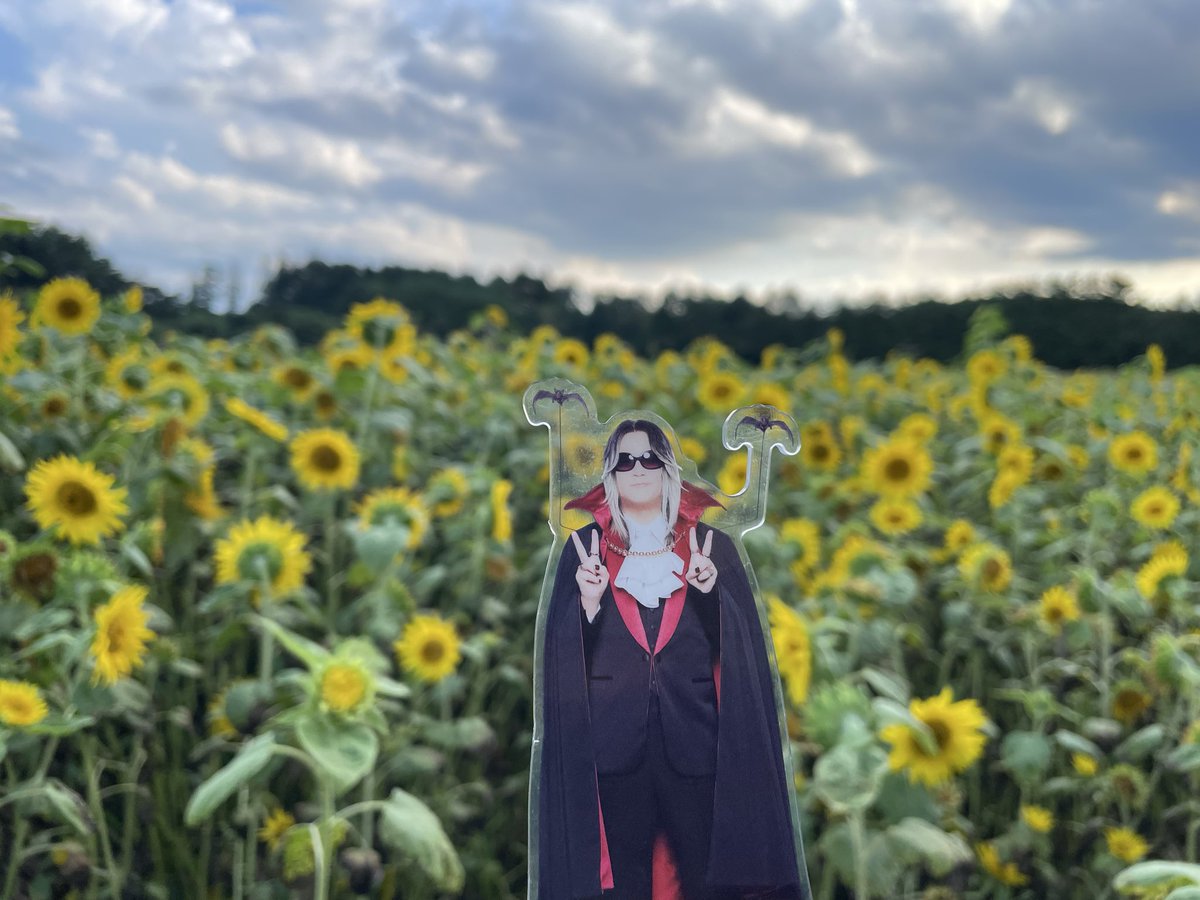 JIBETA3's tweet photo. ひまわり畑。途中雷なって早々に切り上げた https://t.co/hvOtJGQC3t