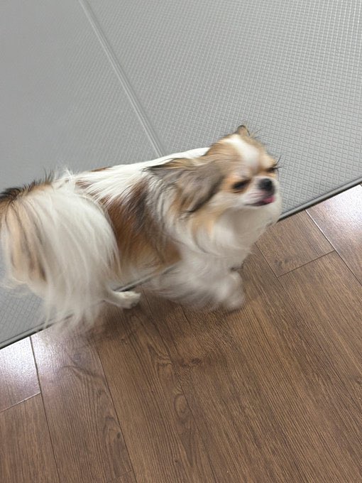 MONSTAXBASE's tweet photo. (2/2) https://t.co/ezwhDdjqd4