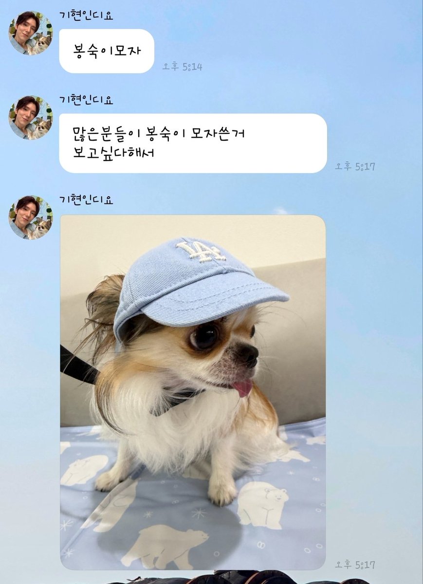 94H_H93's tweet photo. 🐹 봉숙이모자
🐹 많은분들이 봉숙이 모자쓴거 보고싶다해서
🐹 제가 써보라구요?
🐹 🧢

아 제발 그만 웃ㄱㅕ ㅋㅋㅋㅋㅋㅋㄱㅋㄱㅋㅋㅋㅋㅋㄱㅋㅋㄱㅋㄱㄱㅋ https://t.co/USmWCAkY81