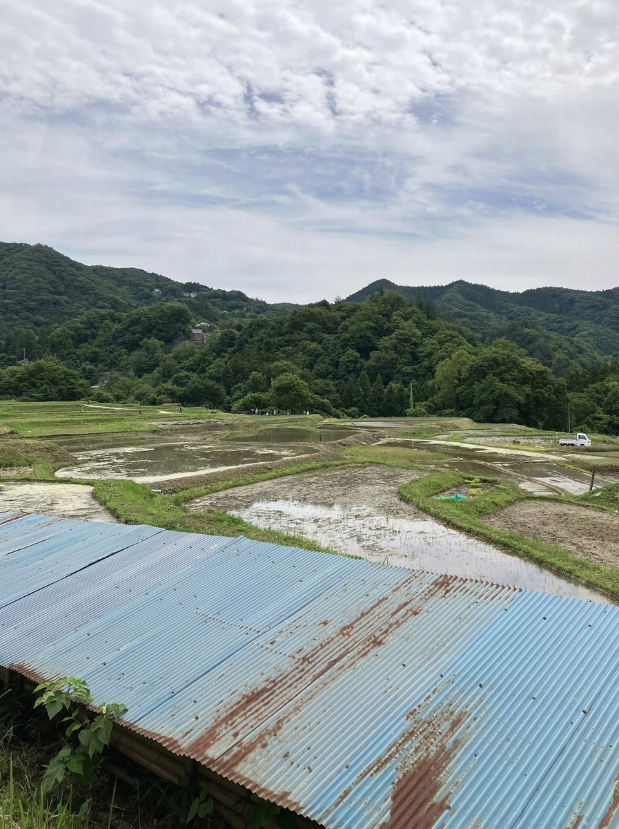 Raizen974's tweet photo. 超今更だけど星詠みとか符術師とか祈り手の聖職系はヤマト限定の設定で和装出来るのねー
昔は気にしてなかったけどキャラせってとかヴィジュアルに関わるとこだしちゃんと知ってるほうがRPの厚み出るな https://t.co/x8VPA22Mso