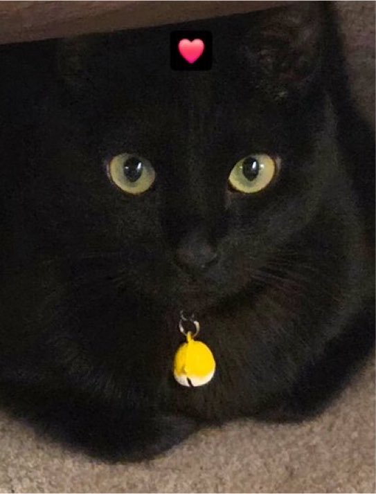 tetebbi's tweet photo. TANGIE 😭😭😭 https://t.co/NfrENoA5bh