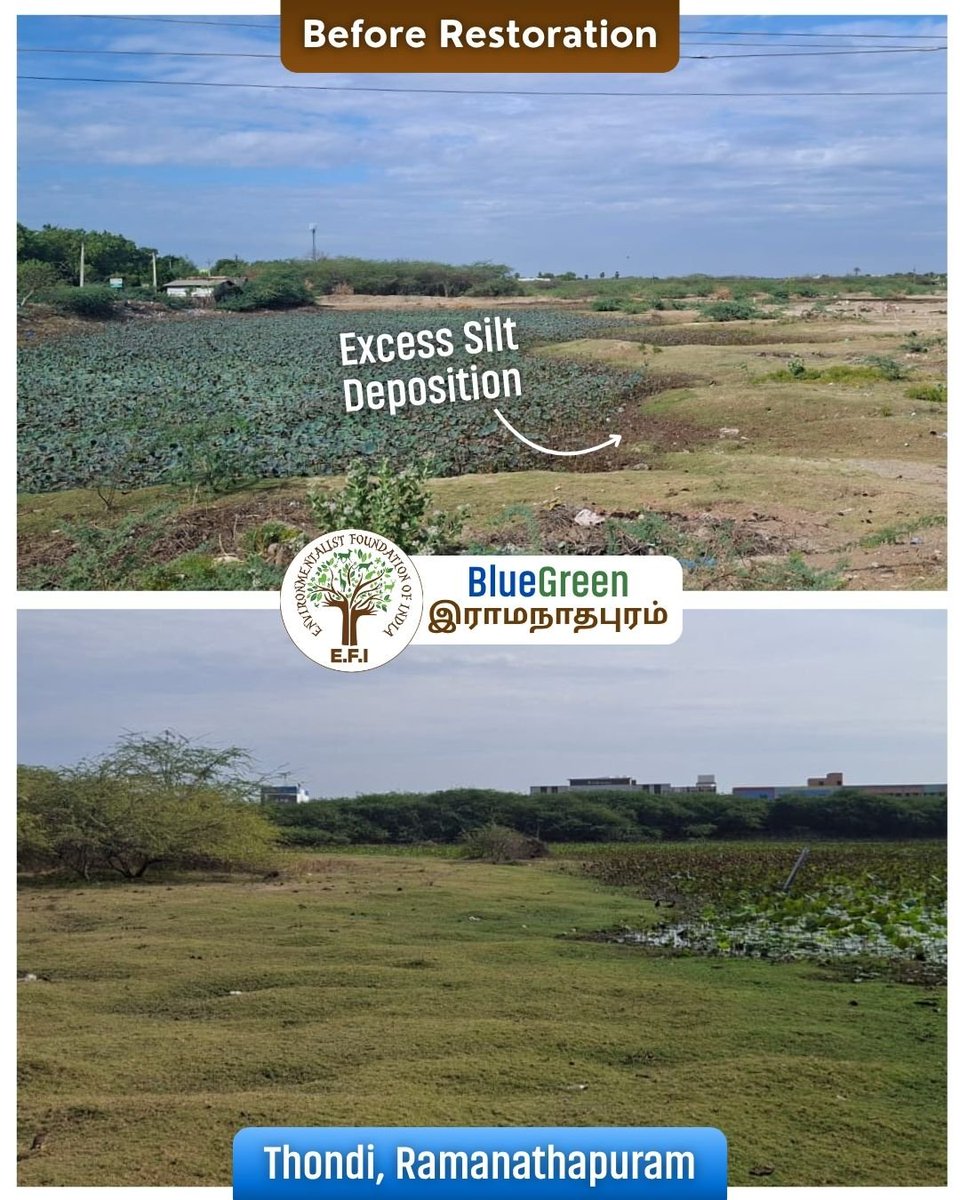 EFIVolunteer's tweet photo. π§ E.F.I.βs #BlueGreenRamanathapuram begins with the restoration of Kallu Kulam, #Thondi. Inaugurated by District Collector M. Sivaguru Prabhakaran, I.A.S., this initiative brings hope for water conservation and ecological revival.
#EFI #LakeRestoration #WaterConservation https://t.co/x3KSPhJDP4
