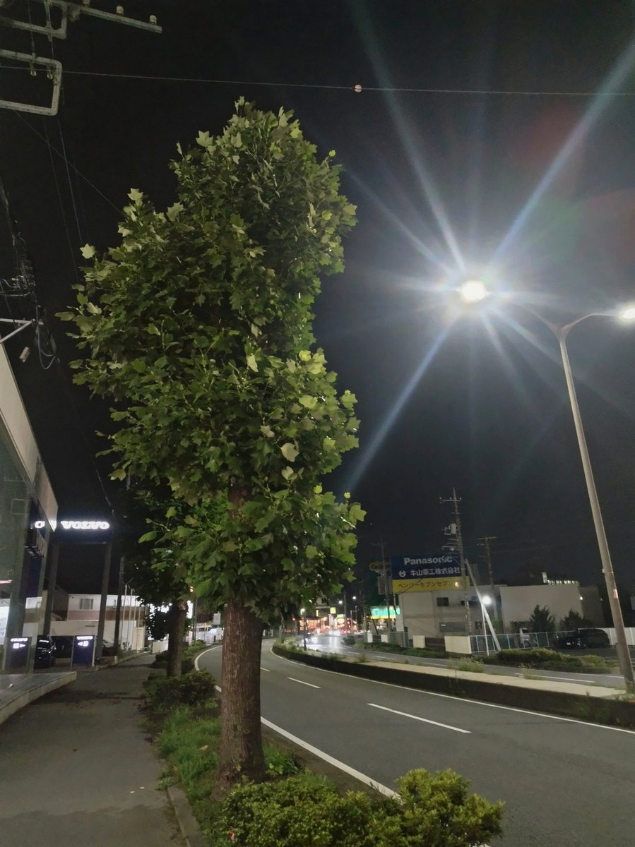 YoungDellaMarr's tweet photo. 直ぐそこにアイオグラ走ってるのに見に行けない https://t.co/e6n0HmjYOG
