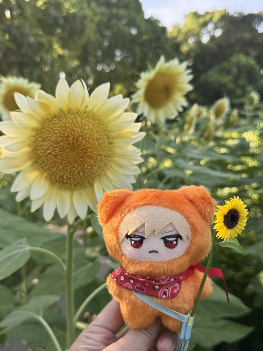 zenko416's tweet photo. ひまわりっちゃん https://t.co/3tz4n6fGqD