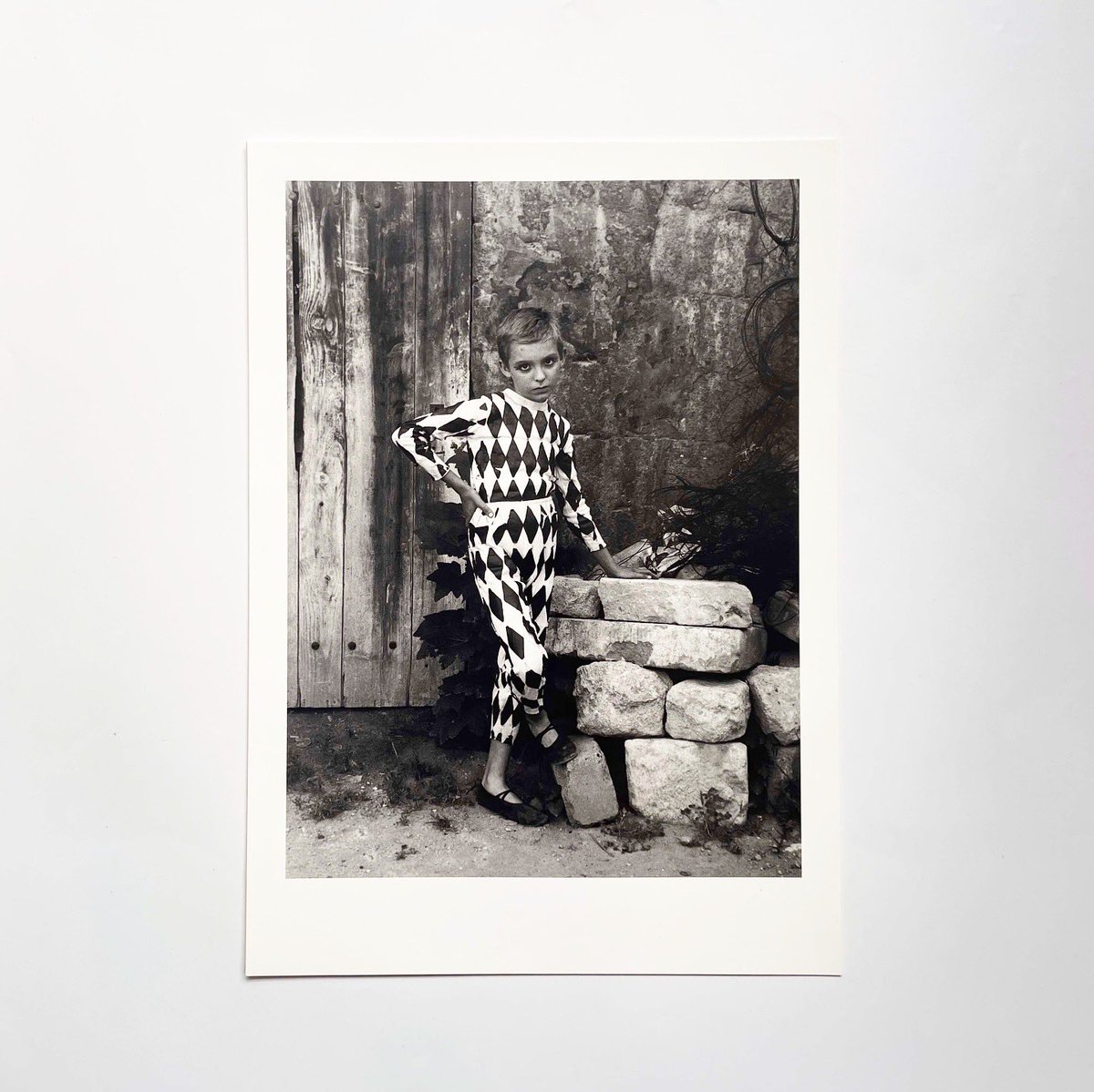 Lucien Clergue: Posterbook - Gaukler-Zyklus / Cycle des