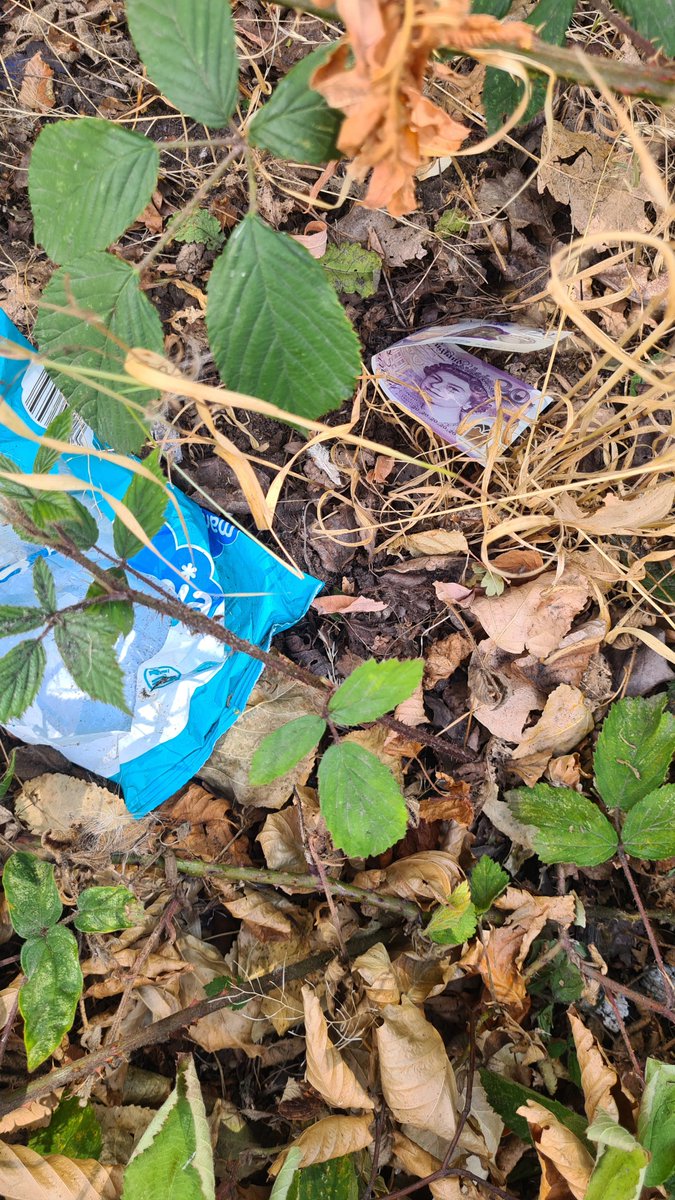 mike56200's tweet photo. Sweet folding money!  Litter picker wages found Thursday, in bushes along a main road.  Already spent toward a tub of black masonry paint for painting over graffiti and mixing grey paint. Win win https://t.co/cShgjnmcJu