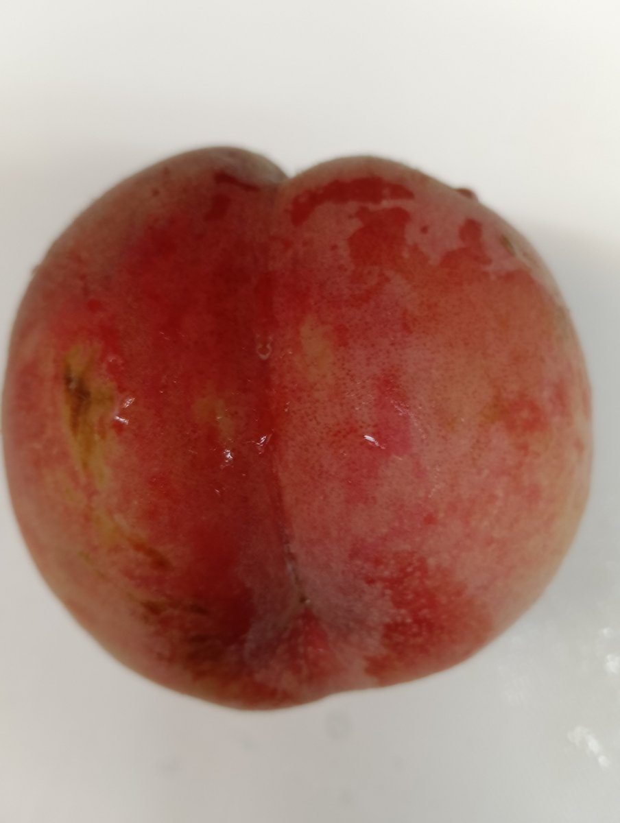 O8Fz0's tweet photo. この歳になると
桃を見ても何も思わなくなった
スタッフ達へ
どうぞ召し上がれ🍑 https://t.co/oFuTIQE6fR