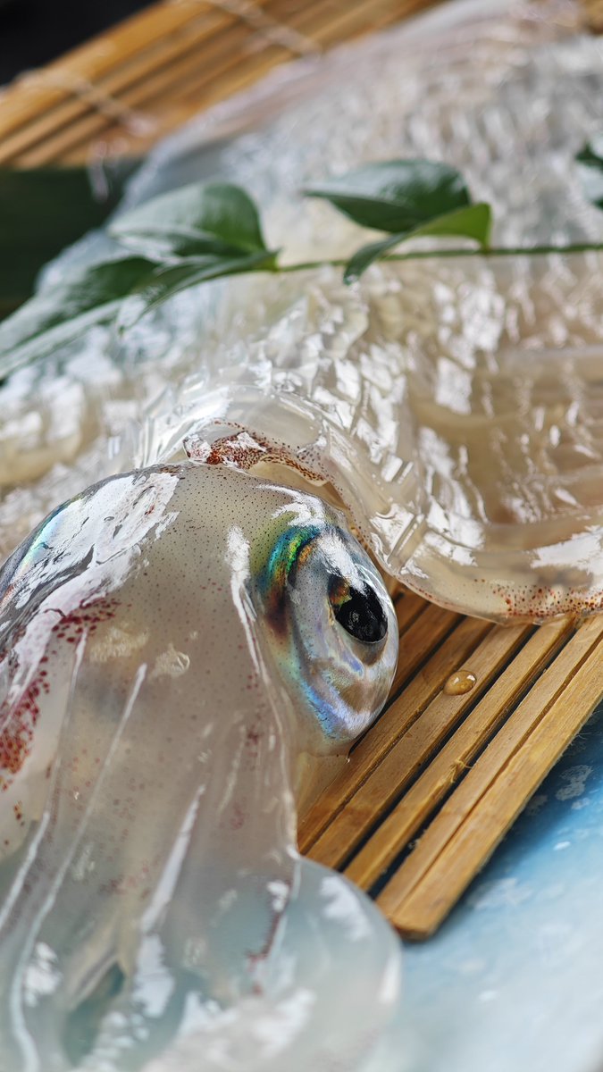 HaitoLife's tweet photo. 呼子のイカは本当に美味しい🦑
刺身を楽しんだ後は天ぷらにしてくれます😋 https://t.co/28fGXZAq2Y