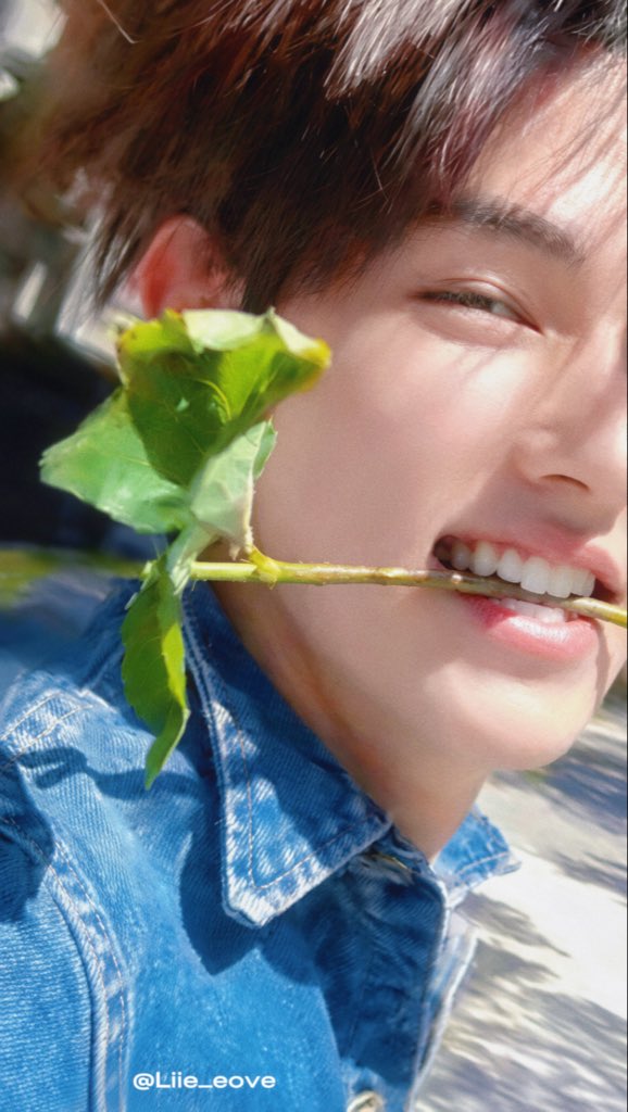 Liie_eove1124 tweet picture