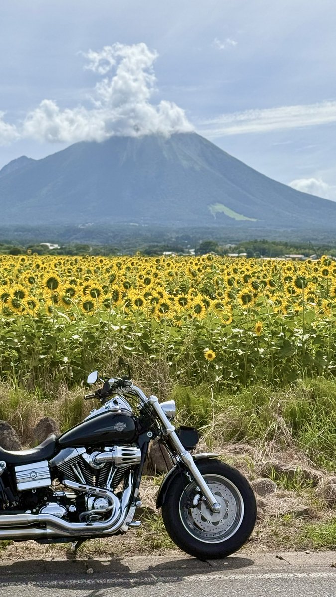 FXDF_FATBOB_BOB's tweet photo. 朝から快晴！☀️

5月に大山行った時
帰りは電車だったけど🫢
今日は鳥取砂丘経由で
無事帰宅！🏍️💨
あ、ただの
自己満リベンジです😅 https://t.co/3rTMCNIdqy