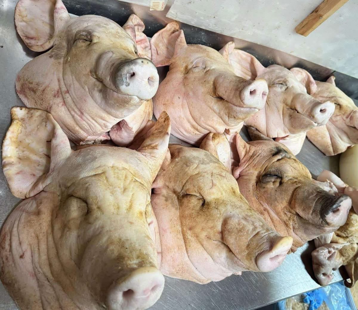 minaminpyo's tweet photo. 豚の頭を大量に販売しているベトナム人🇻🇳
ベトナム北部ナムディン省出身。

ネット販売に必須の表示義務を満たさず、違法な販売。
と殺は、と畜場で行ったのでしょうか？
この豚はどこから入手したのでしょうか？
家畜商免許を持っているのでしょうか？

政府は、SNSを監視し、勝手にと殺・解体して販売する違法な外国人の在留資格を全員失効・更新不可とし、法に従って、故郷に帰してください。
日本の公衆衛生を脅かす極めて危険な行為です。