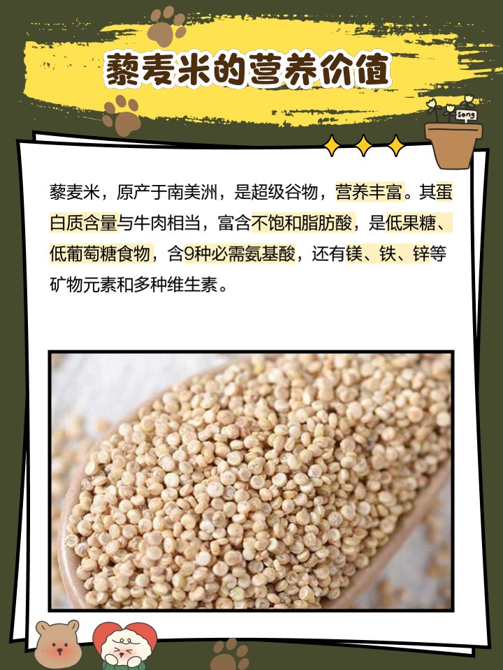 Perth1234567's tweet photo. Just tried the new organic quinoa from local farms! Fluffy, nutty, and packed with protein—perfect for meal prep. 10/10, will restock! #HealthyEats #GrainReview https://t.co/egGjmEcZjt