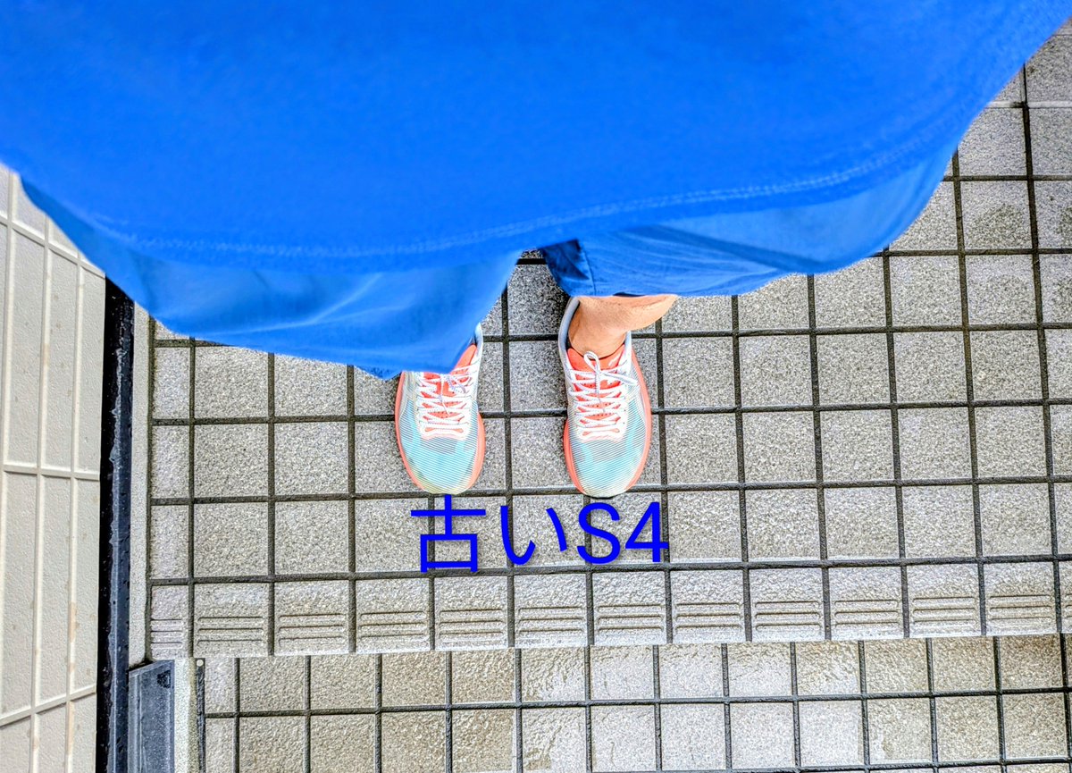 TashMitsuo's tweet photo. 今朝は小雨だったので久しぶりにS4を履きました。持っている靴のなかでは軽量メッシュ系なので乾きが速いです。雨の日はお世話になったので、これからもしばらく大切に使おうと思います。 https://t.co/uXMKnM2VYH