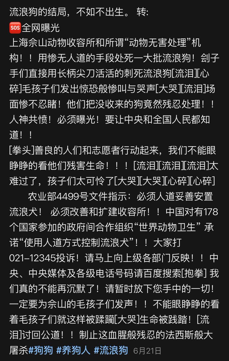 qwert555551ip's tweet photo. 🚨 全網曝光，流浪狗的悲慘結局。

中國上海「佘山動物收容所」與所謂的「動物無害化處理」機構，竟用慘無人道的手段處死大批流浪狗！劊子手們直接使用長柄尖刀，活生生將流浪狗刺死。

現場狗狗發出驚恐的慘叫與哭聲，畫面慘不忍睹、令人心碎！

他們竟然對這些被沒收的無辜犬隻，進行如此殘忍的處置，簡直人神共憤！此惡行必須曝光，務必讓全世界看見真相！

在此呼籲所有善良的民眾與志願者立刻行動起來，我們絕不能眼睜睜看著他們殘害生命！看著這些可憐的孩子，心中實在無比痛心與難過。

根據中國農業部「第 4499 號文件」指示：必須本著人道原則，妥善安置流浪犬隻，並切實改善與擴建收容所！此外，中國已向擁有 178 個成員國的政府間國際組織「世界動物衛生組織」做出承諾，將「使用人道方式控制流浪犬數量」！

我們真的不能再繼續沉默了！

請暫時放下您手中的一切，一起為佘山的毛孩子們發聲！

絕不能坐視這些生命遭到肆意踐踏與蹂躪！

我們必須討回公道，堅決制止這場血腥殘忍的暴行！

地點：中國。