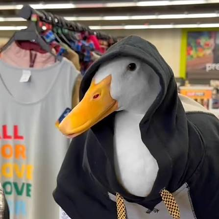 SortThemDucks's tweet photo. @EverTrua_TTV we ducks love orcas too 🦆
(come to the duck side) https://t.co/GCCVqreg9K
