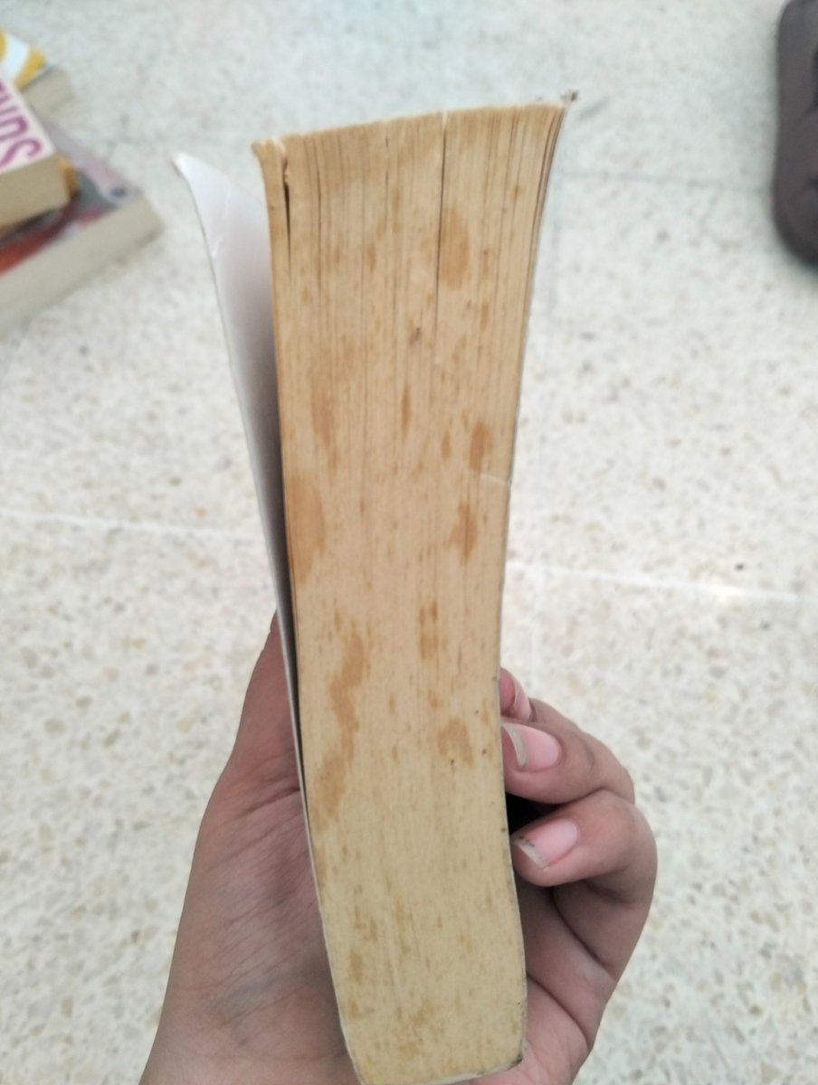 supernooops's tweet photo. (4/4)

Norwegian Wood - 50k nego https://t.co/ZNu54lAtyy