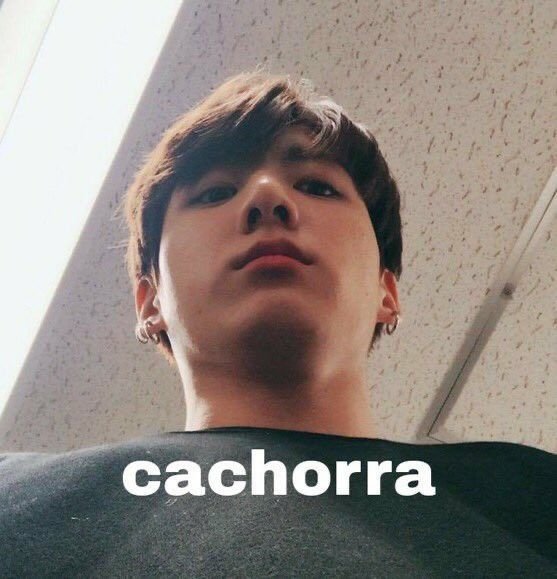 _chwrryavl's tweet photo. Amores wampatas les juro que para mañana traigo más imágenes pros para enviárselas https://t.co/eERRpBgdK2