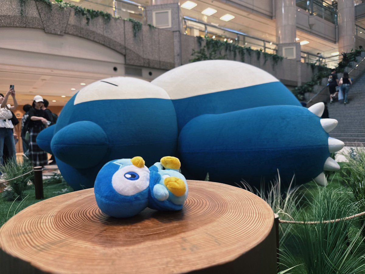 aym2418's tweet photo. みなとみらいでカビゴンとうちの子　#ポケモン https://t.co/GqrSGLY63Z