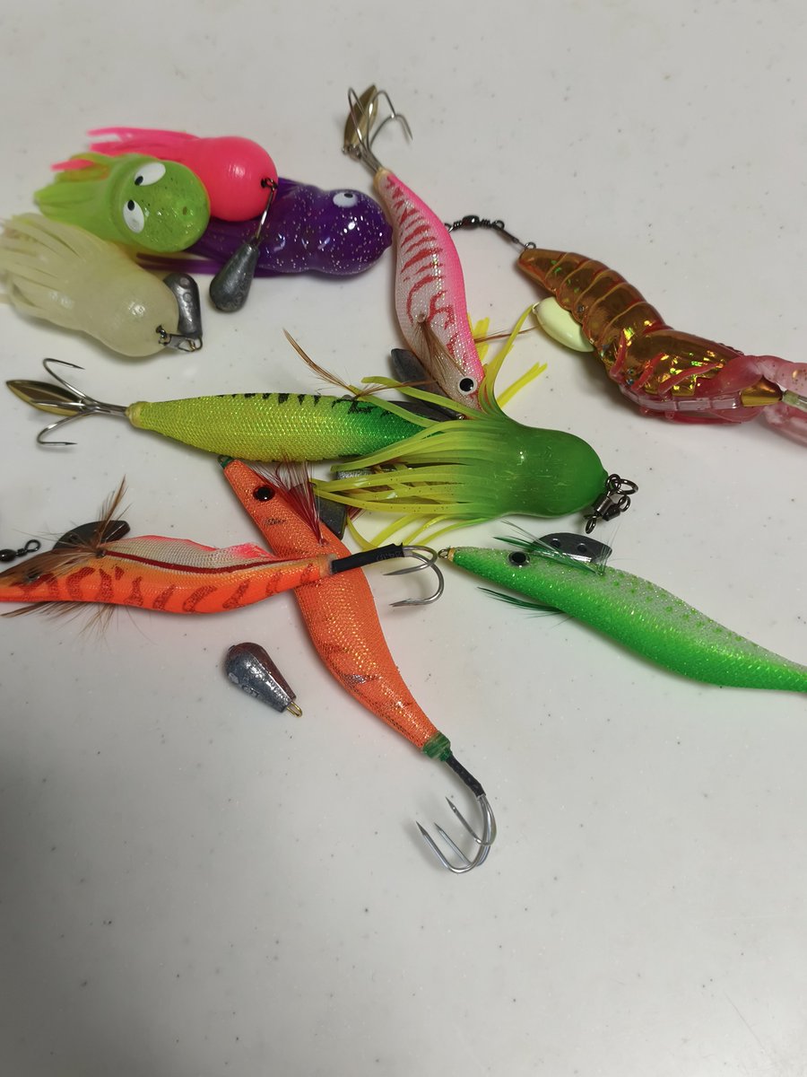 crosscubfishing's tweet photo. よし！明日は短時間しか行けないしタコ狙いにしよう🐙 https://t.co/YmA0EF57Gv