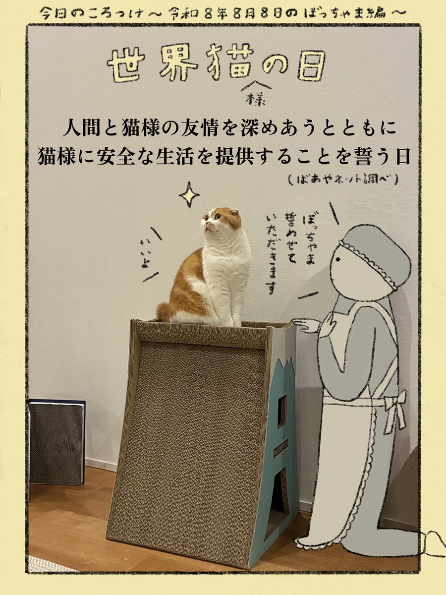 猫A 本日まで最終値下げ！ 猫D 最終値下げしました！ 週末限定値下げ