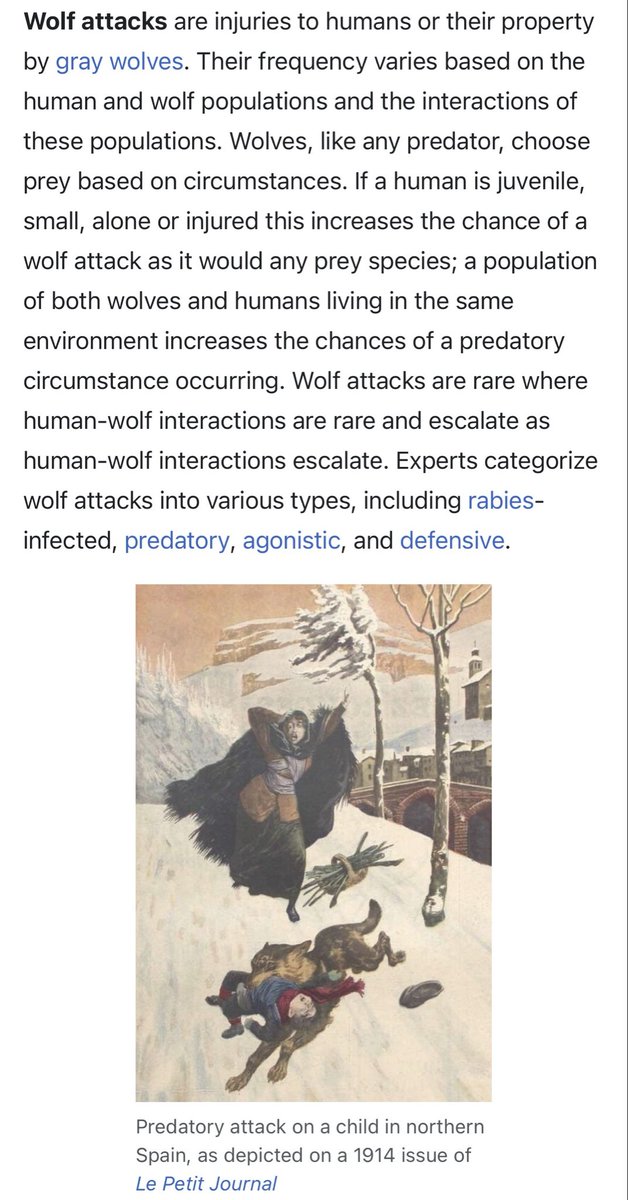 OakenThorly's tweet photo. @MattWalshBlog Start a “Wolf Hunt” https://t.co/1OIk2EqmMb