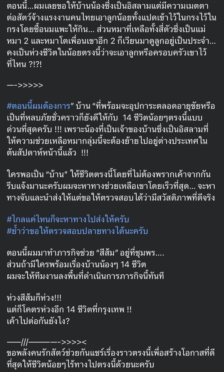 KhaohomSiri's tweet photo. ประชาสัมพันธ์ จากเพจพี่ปุ๋ม The Hope Thailand 

ใครสนใจและพร้อมอุปการะน้องๆ ติดต่อทางเพจได้เลยนะคะ 🙏🏻

#แมวหายบนรถไฟ #น้องหมาหาบ้าน #หมาหาบ้าน https://t.co/pra4QJjEx0
