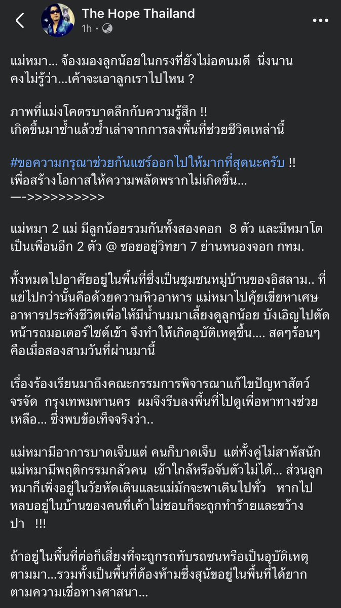 KhaohomSiri's tweet photo. ประชาสัมพันธ์ จากเพจพี่ปุ๋ม The Hope Thailand 

ใครสนใจและพร้อมอุปการะน้องๆ ติดต่อทางเพจได้เลยนะคะ 🙏🏻

#แมวหายบนรถไฟ #น้องหมาหาบ้าน #หมาหาบ้าน https://t.co/pra4QJjEx0