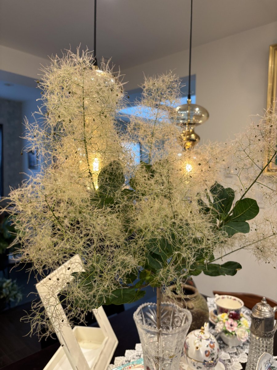 kaitypatch's tweet photo. I spent the afternoon tidying up the house and bought some pretty flowers. https://t.co/XWeAhN5HAE