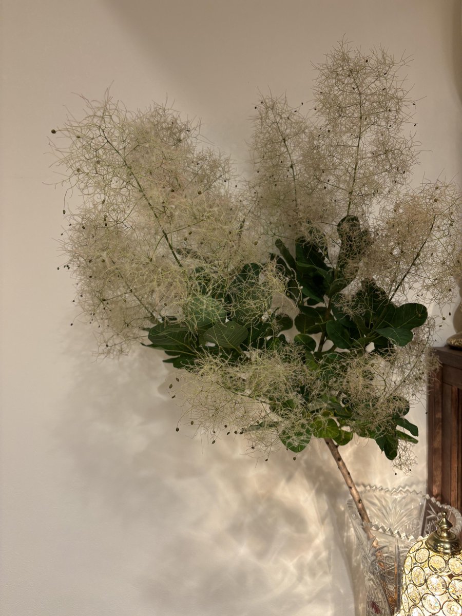 kaitypatch's tweet photo. I spent the afternoon tidying up the house and bought some pretty flowers. https://t.co/XWeAhN5HAE