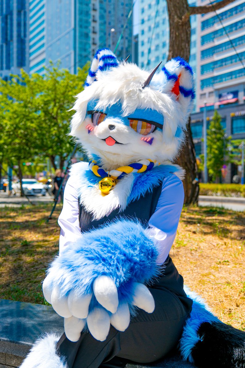 RAZ_fur's tweet photo. 오늘 세계 고양이의 날이래!
💙🐱💙

📷 : @ryuuee00 https://t.co/evTV1j4yS0