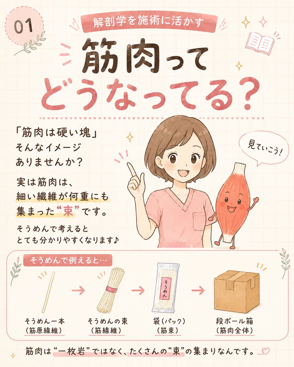 yu_academy's tweet photo. 筋肉の構造を
よくそうめんに例えてお伝えしてます。 https://t.co/wgJ8wVyfu1